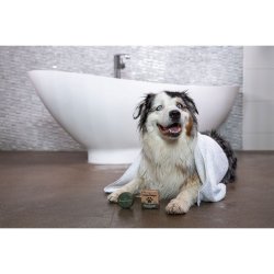 HappySoaps Hunde Shampoo Bar Universal � 70 g