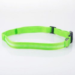 Lysende hundehalsbnd