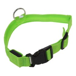 Lysende hundehalsb�nd