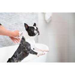 HappySoaps Hunde Shampoo Bar � Kort Pels